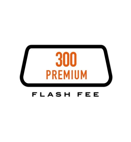 Ecutek 300 Flash point PREMIUM